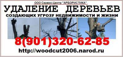 Валка, удаление деревьев  СПб и Ленинградская обл в Санкт-Петербурге